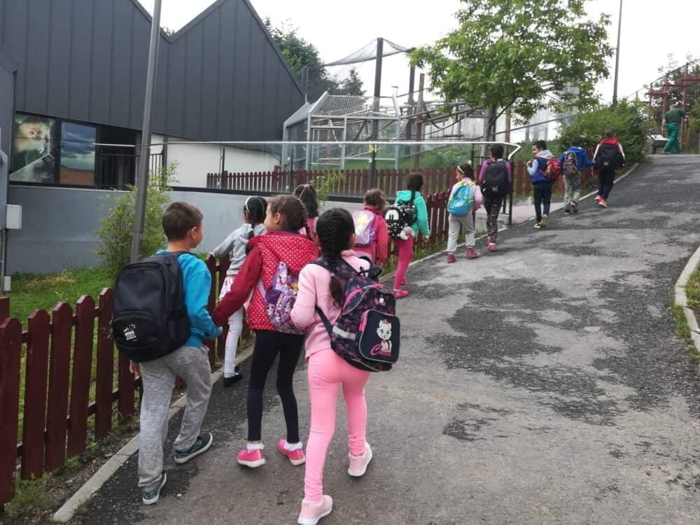 Prima excursie la Zoo Brașov