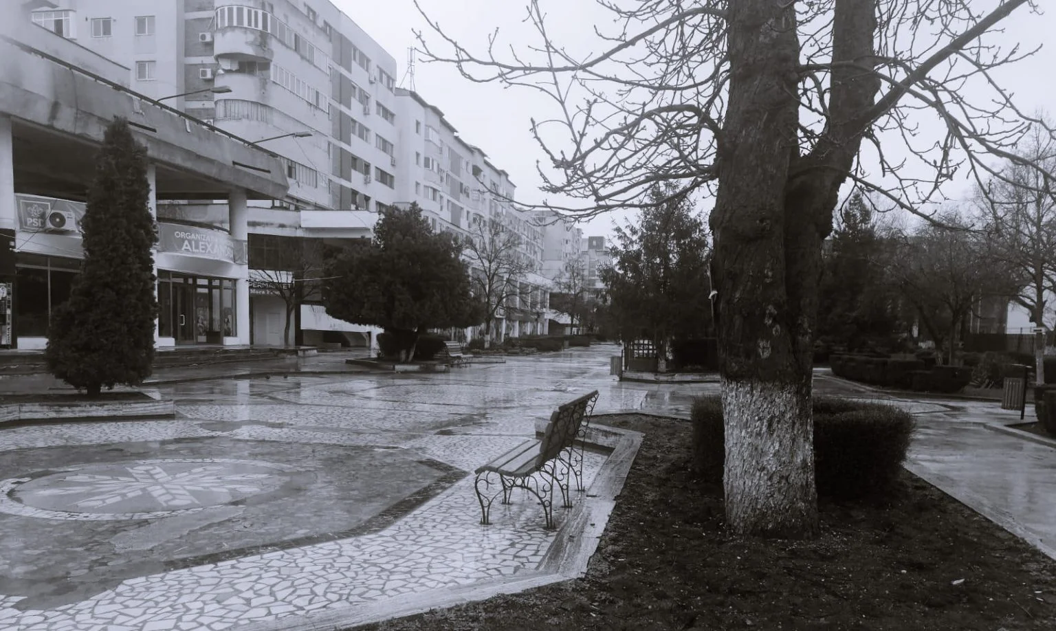 Centrul istoric al Alexandriei a devenit o ruină în așteptarea banilor europeni