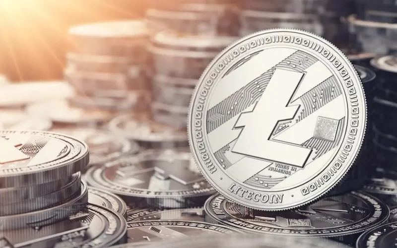 Litecoin, sursă:Wit Olszweski – Shutterstock