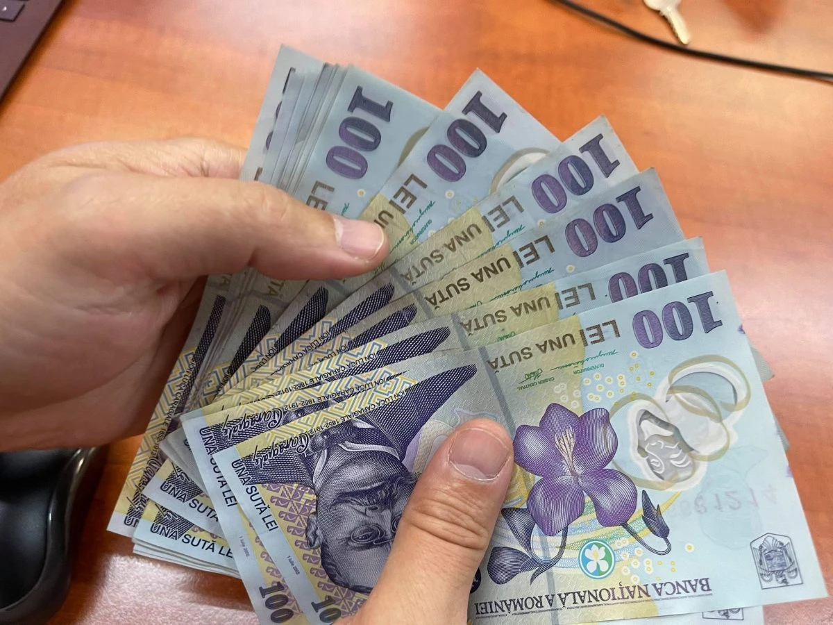 Subvenții uriașe pentru partide: 314 milioane de lei pentru anul 2024