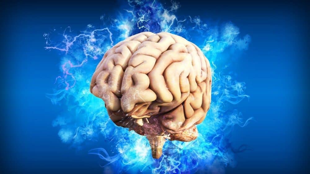 Studiu: virusul COVID-19 nu infectează celulele creierului. Afectarea mirosului este mai superficială decât arătau cercetările anterioare