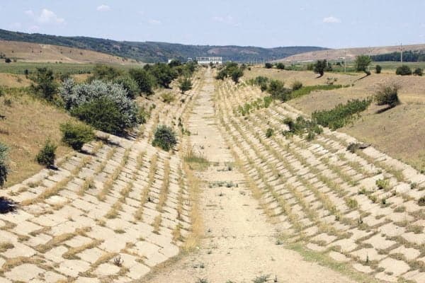 Apărarea fondului forestier, componentă de bază a sectorului apărării naţionale şi europene