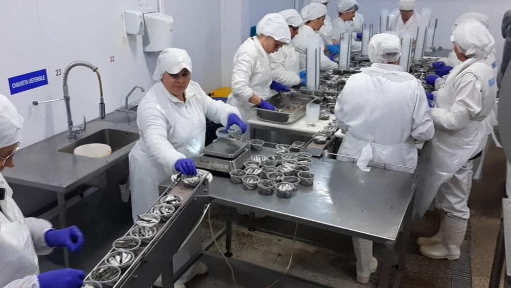 „Scrumbria afumată de Dunăre”, încă un produs românesc certificat de Comisia Europeană. Foto Viața liberă