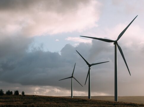 Producție mare în eoliene - record de energie ieftină la export - producția de energie eoliană a urcat până la peste 2.600 MWh