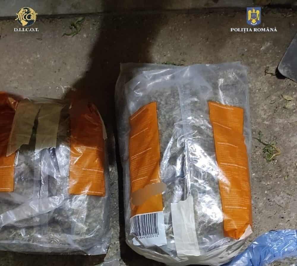 Percheziții în mai multe județe în dosare privind trafic de droguri