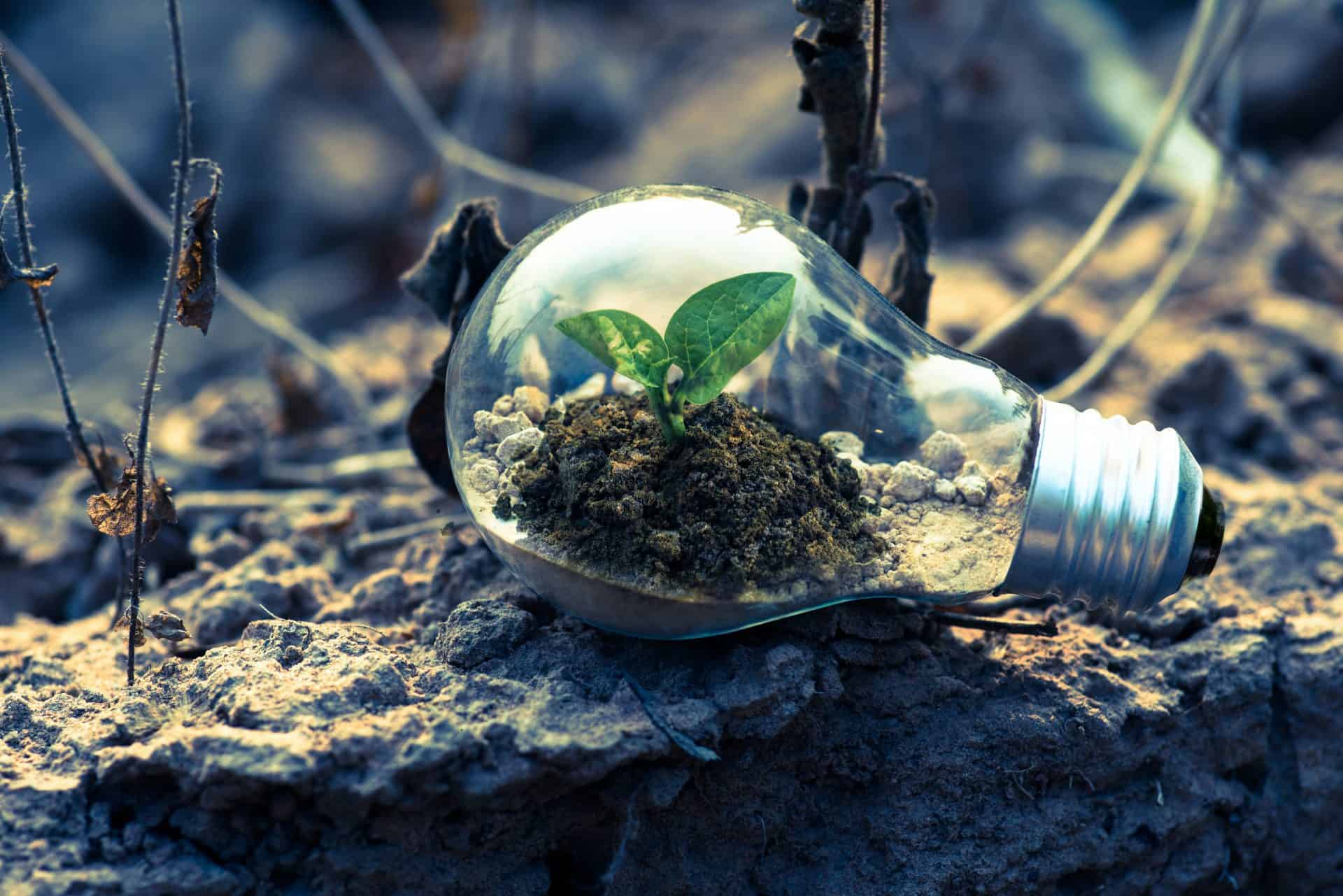 400 de miliarde de euro/an trebuie cheltuite în UE pentru trecerea la energie verde. Foto: Pexels-singkham-1108572