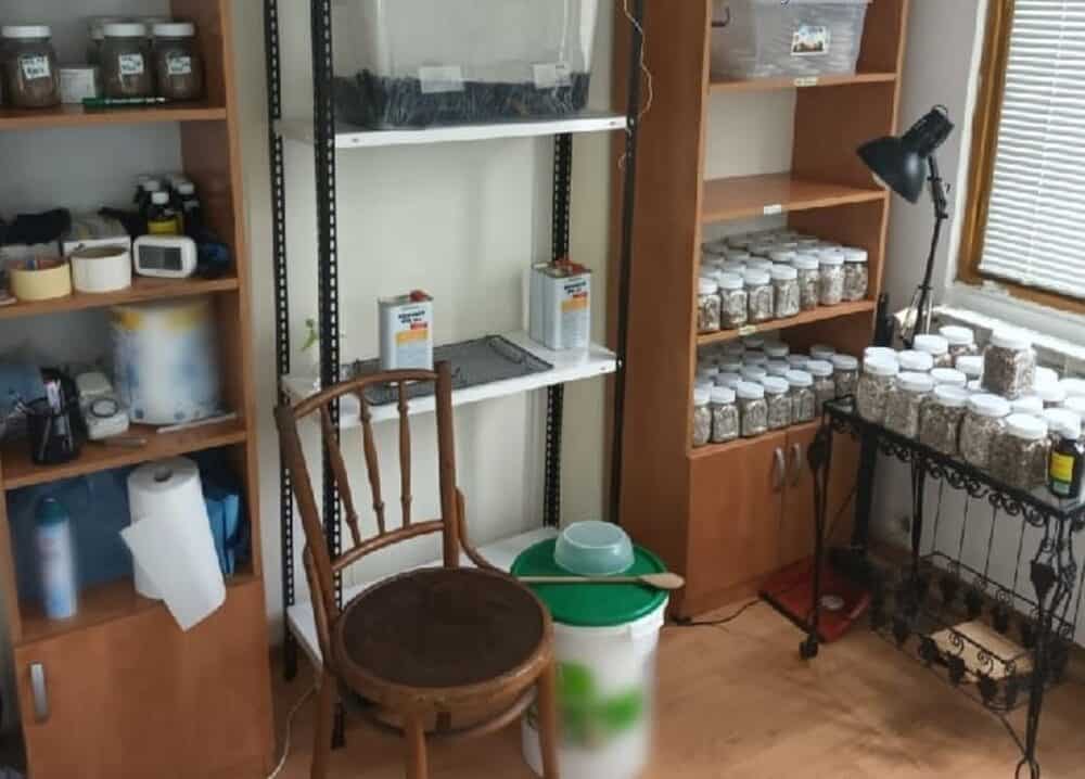 Laborator de LSD şi ciuperci halucinogene, descoperit în Covasna