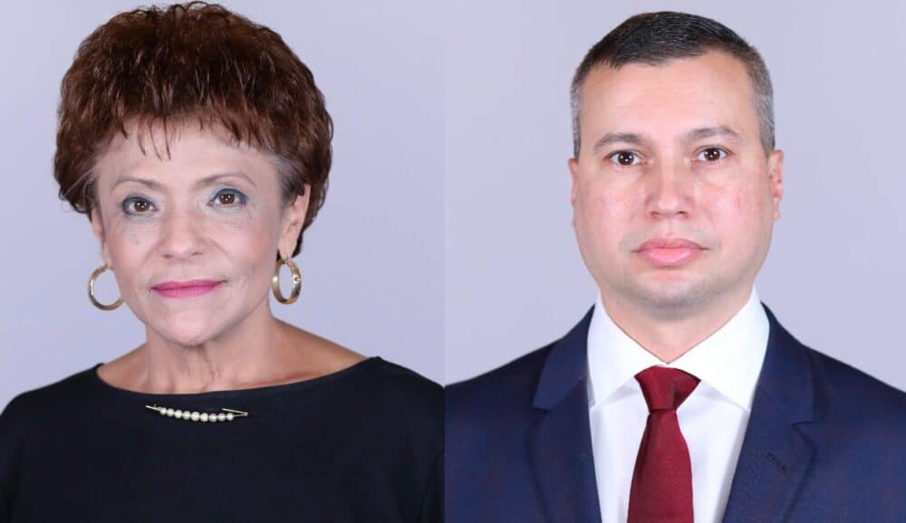Un deputat PSD, Elena Stpoca, și unul PNL, Erwin Molnar, discurs identic până la virgulă