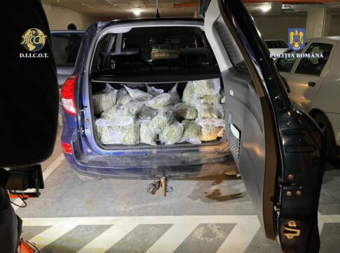 Percheziții DIICOT într-un dosar de trafic de droguri. Au fost confiscate 26 de kilograme de canabis