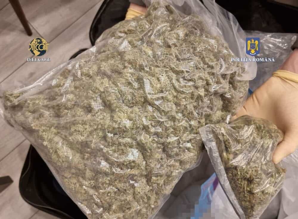 13 persoane, reţinute de DIICOT pentru trafic de droguri printr-o aplicație criptată. Platforma avea 11.000 de membri