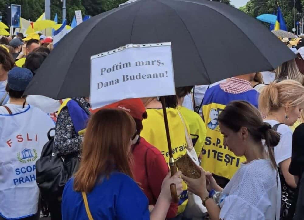 Mesaj protestatară către Dana Budeanu Sursă foto Facebook Armadda