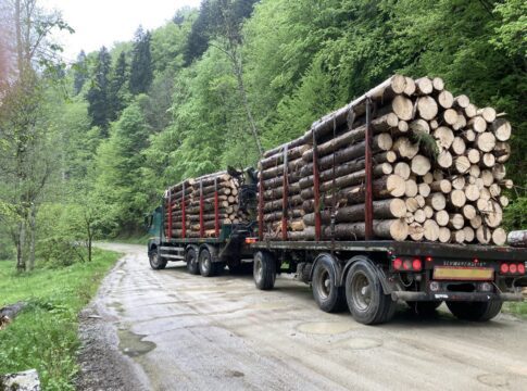 Un camion care transporta lemn recent tăiat dintr-o pădure privată (conform angajaților Romsilva prezenți), care circulă prin Ocolul Domnești din Romsilva, într-o zi ploioasă, în Munții Făgăraș de Sud, 17 mai 2023. Investigațiile UE privind tăierile ilegale. Fotografie de Crina Boroș