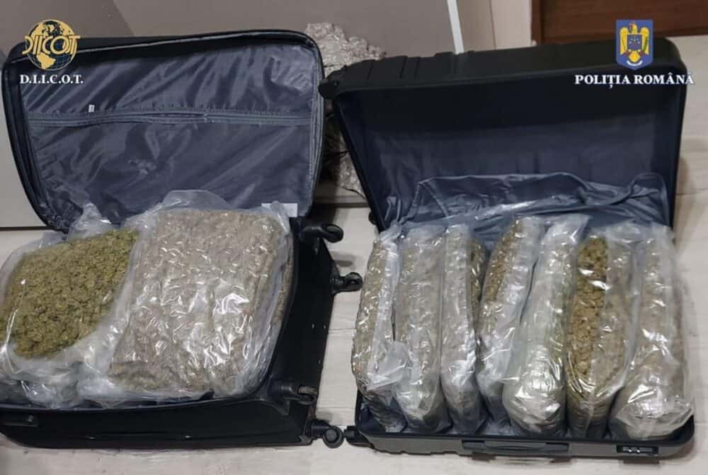 Cetățean străin prins în Bihor cu peste 1 kilogram de canabis în mașină și cu încă 14 kilograme în locuință