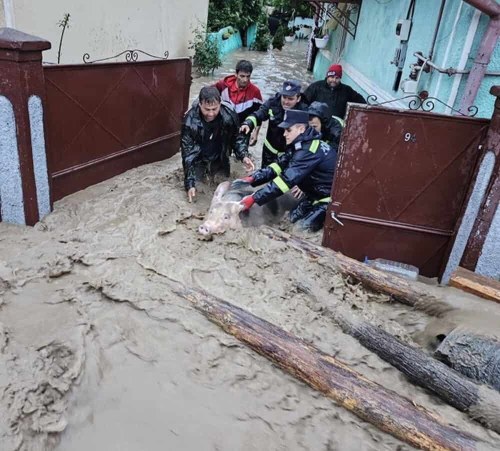 Ape revărsate, gospodării inundate şi persoane evacuate în localităţi din Dolj