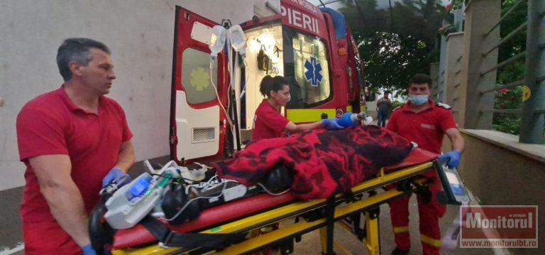 Un băiețel din Botoșani a ajuns la Urgențe după ce a fost înțepat de zeci de albine. Incidentul a avut loc în weekend