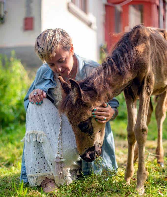 O petiţie online cere Guvernului condus de Marcel Ciolacu să nu majoreze TVA la hrana pentru animale de la 9% la 19%