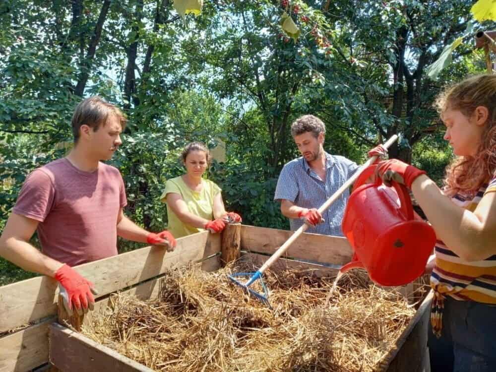 DinoGarden, proiectul din Geoparcul Țara Hațegului care face legătura dintre dinozauri și permacultură