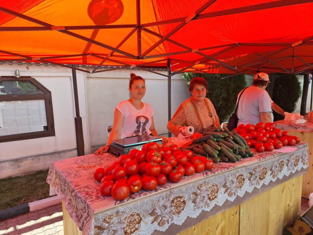 Metodă inedită a unei fermiere, pentru irigarea plantelor, cu apa din bazin cu peşti, cultivă de proape 10 ani roşii, castraveţi şi ardei