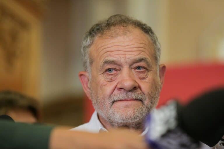 Faptele Anei Ipătescu, relatate de Dumitru Almaș - 