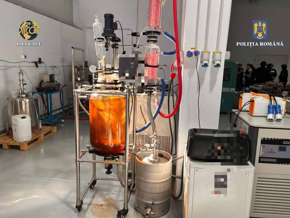 Cine este în spatele afacerilor cu produse de canabis care au fost percheziționate de DIICOT