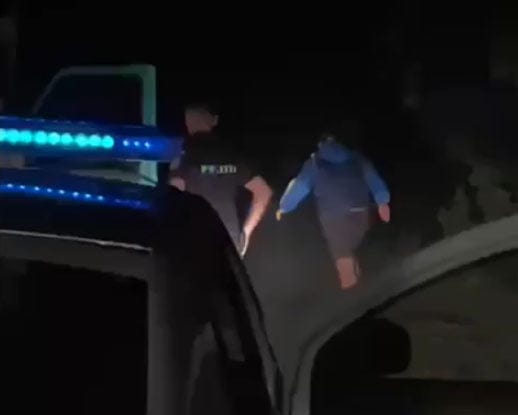 VIDEO Doi puștani băuți, urmăriți cu focuri de armă și opriți ca-n filme de polițiști, după ce au furat o mașină