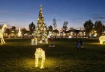 Decorațiuni cu girafe, elefanți și lei lângă bradul de Crăciun, la Slatina - Lipsesc total decorațiunile cu Moș Crăciun sau renii.