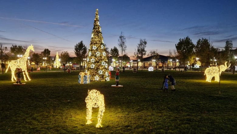 Decorațiuni cu girafe, elefanți și lei lângă bradul de Crăciun, la Slatina - Lipsesc total decorațiunile cu Moș Crăciun sau renii.