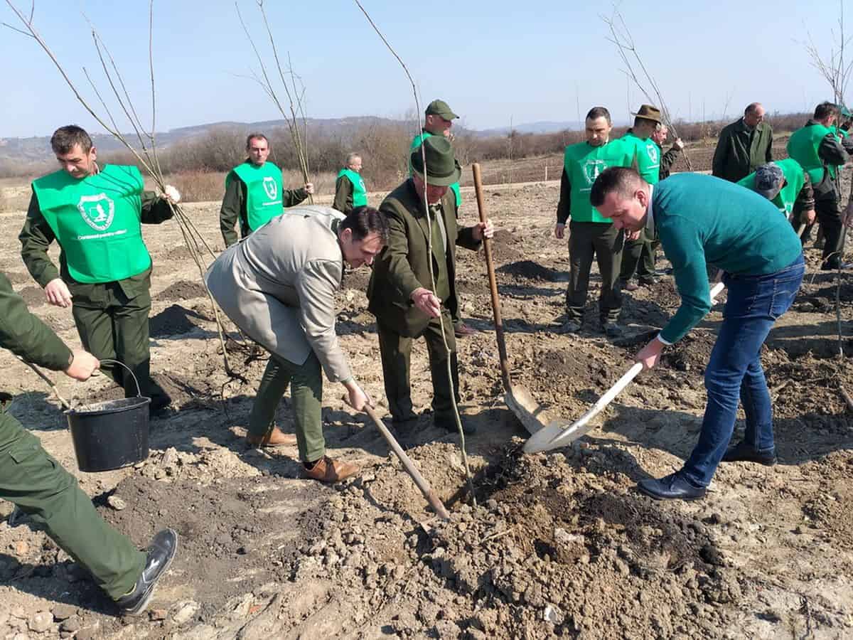 O mică pădure plantată de Primăria Oradea pentru locuitorii unui cartier din oraș s-a uscat complet