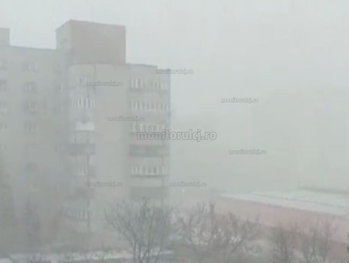 Un avion care trebuia să aterizeze pe aeroportul din Cluj-Napoca, deviat la Timișoara din cauza unei furtuni de zăpadă