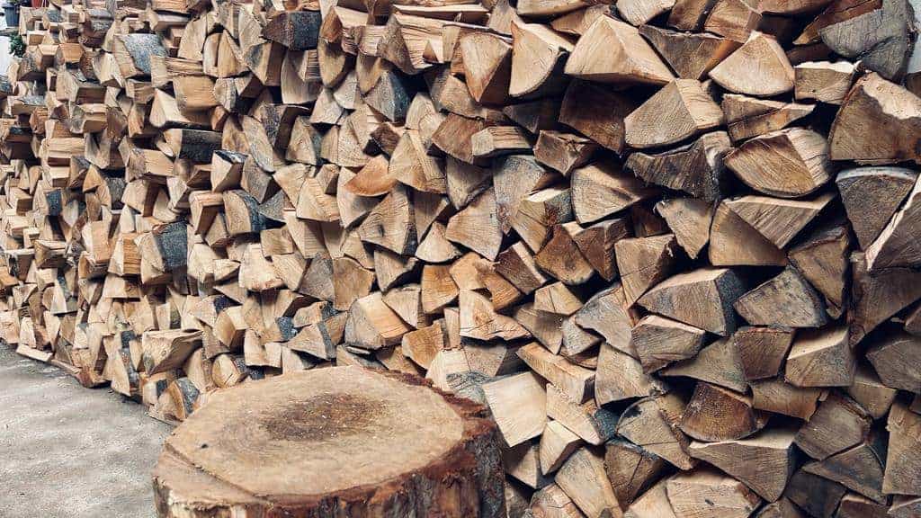 Condamnare la Judecătoria Sebeș pentru mafia lemnului