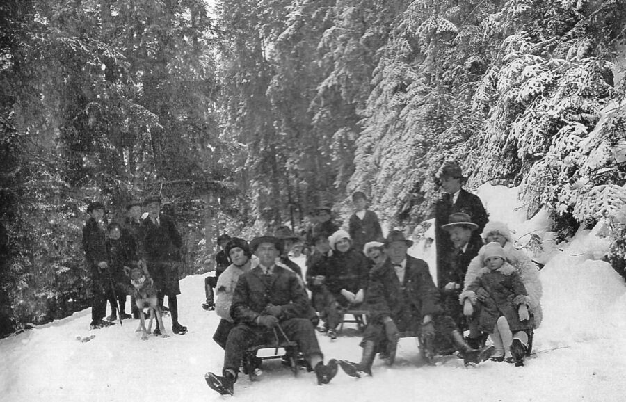 La săniuș în Roșia Montană