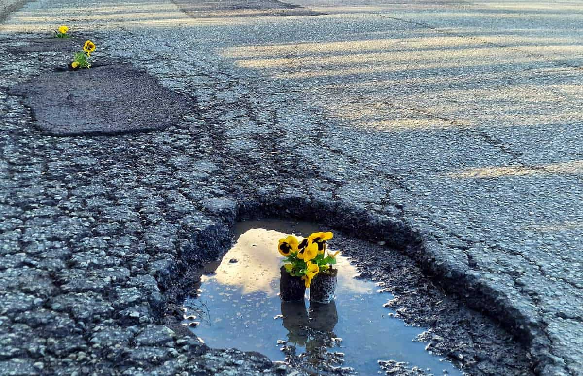 Pe lotul 4 al autostrăzii Pitești-Sibiu, între Curtea de Argeș și Tigveni, lucrările avansează. De la Tigveni spre Vâlcea, nimic