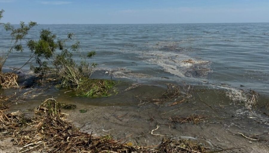 Marea Neagră în apropiere de Odessa după atentatul de la hidrocentrala Kahovka. Foto: UkrInform