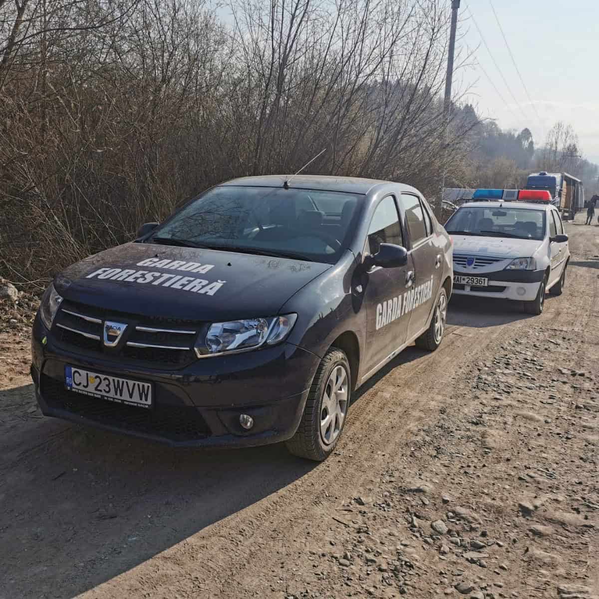 Pădurar cercetat pentru dare de mită