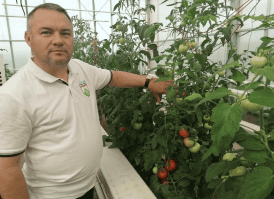 Dezinteresul consumatorului: pericolul din spatele fructelor și legumelor, iar pierderea „gustului copilăriei