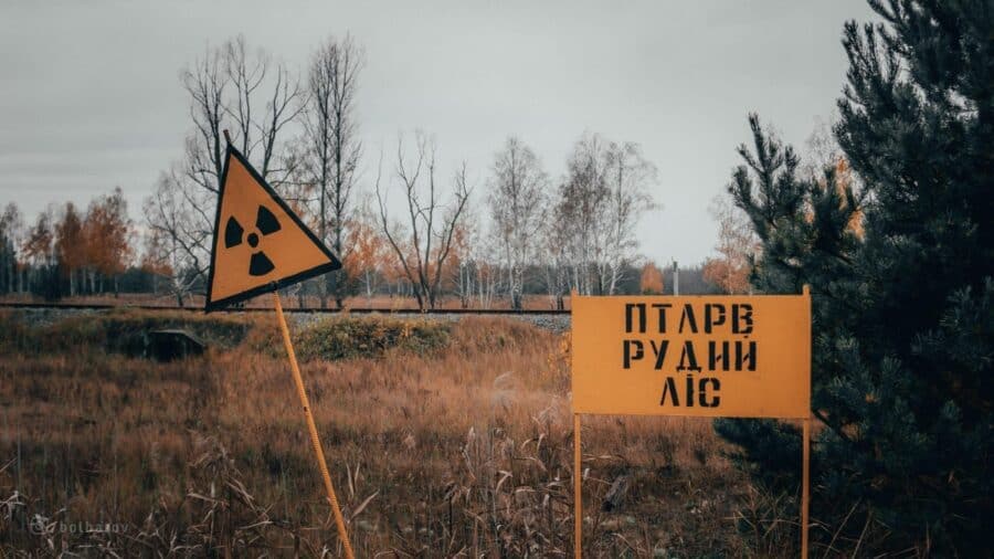 Pădurea roșie/roșcată de la centrala nucleară de la Cernobîl