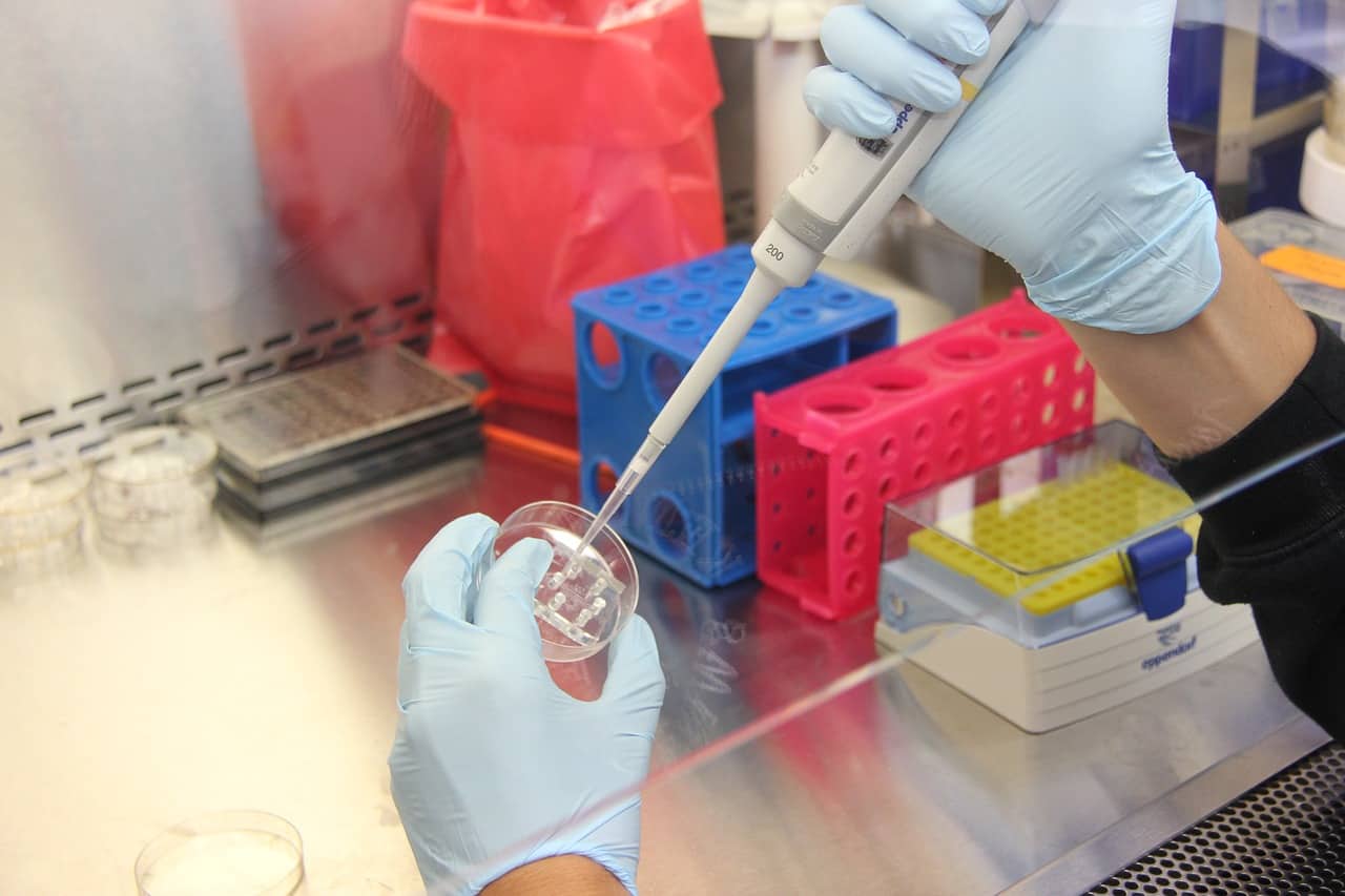 Descoperire revoluționară: superantibioticul sau medicamentul care poate ucide orice bacterie reprezintă răspunsul la una dintre principalele probleme cu care se confruntă lumea contemporană, anume rezistența la antimicrobiene.