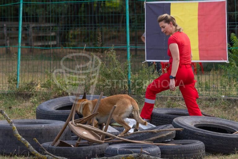 Sursa foto: Centrul Național de Educare Canină/Facebook (arhivă)