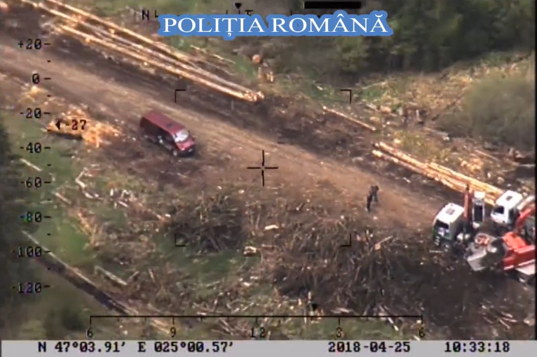 Material lemnos în valoare de peste 4.000.000 de lei, confiscat de polițiști