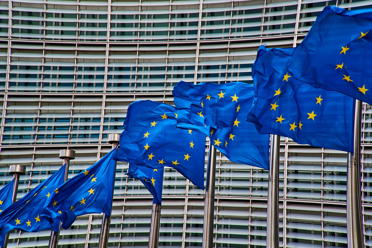 Cine ne va reprezenta în Parlamentul European în următorul mandat? Lista noilor europarlamentari curprinde 33 de nume.