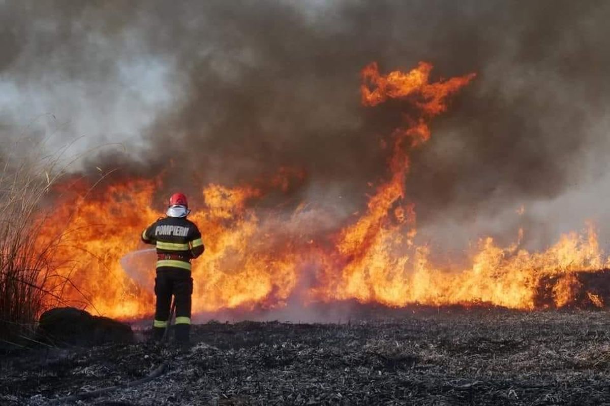 Circulaţie oprită pe autostrada A2 şi pe calea ferată, din cauza unui incendiu de vegetaţie