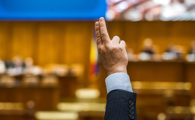 Liber la vânătoarea de urși. Camera Deputaților a adoptat proiectul de lege propus de fostul ministru Tanczos Barna | The Epoch Times