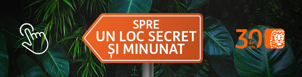 spot_img