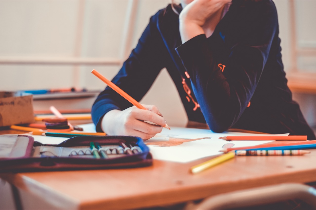 Mai bine de un sfert dintre unităţile de învăţământ preuniversitar din judeţul Olt nu au pază sau sisteme de securitate