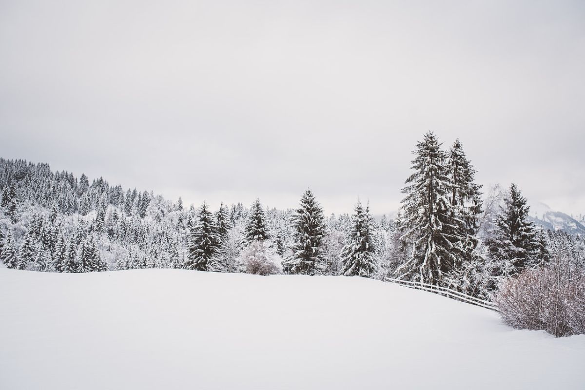 Zăpada a blocat mai mulți turiști pe drumul către pârtia Transalpina, jandarmii i-au salvat
