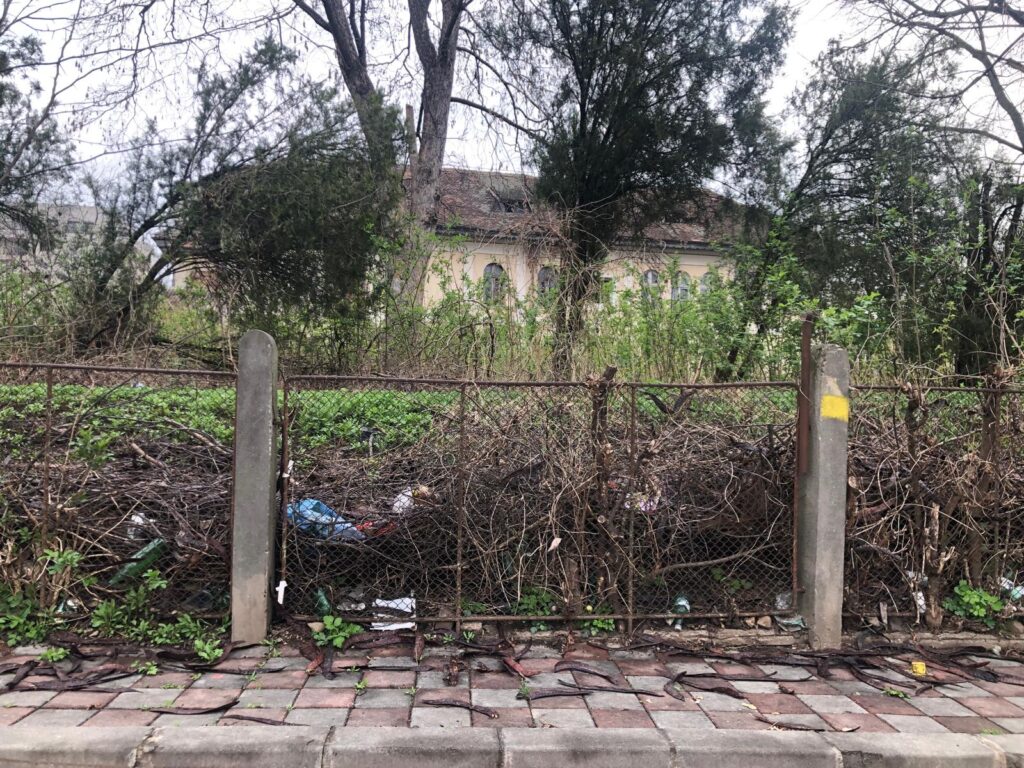 O clădire istorică valoroasă, un adevărat focar de infecție. Mărturiile vecinilor