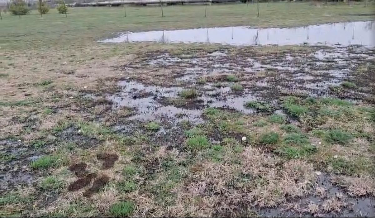 Poluare cu petrol într-un parc din Ploieşti, după ce o conductă a companiei Conpet s-a spart