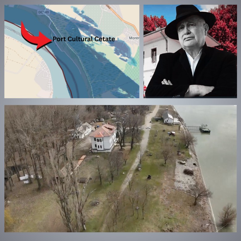 Dinescu are câteva clădiri într-o zonă de 9,6 hectare de pe malul Dunării, aflată în proprietatea statului și administrată de Romsilva. Terenul aferent portului a fost închiriat de la Ministerul Transporturilor.