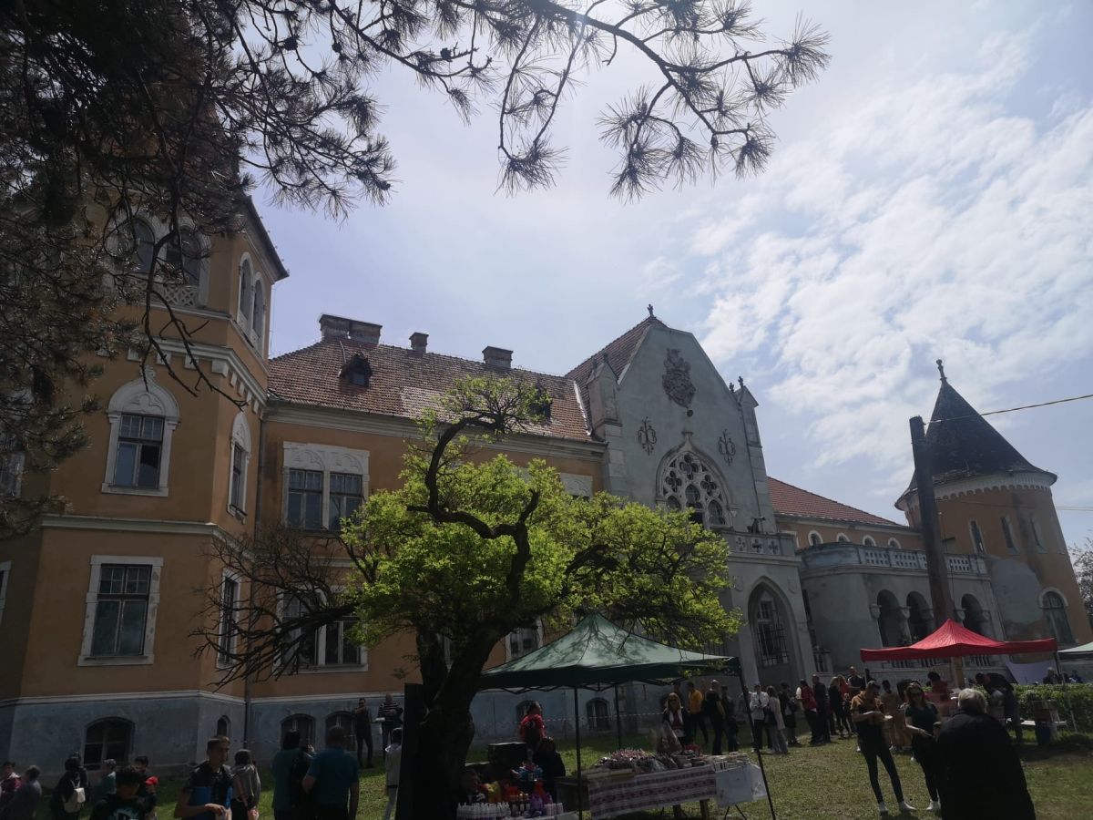 O pictură murală de peste 70 metri dedicată bujorului de stepă va fi prezentată la festivalul de la Castelul Ugron
