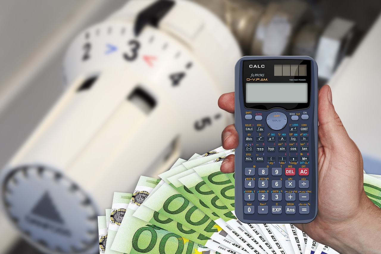 În absența unei piețe de energie, în 2024 s-a pierdut jumătate de miliard de euro la buget